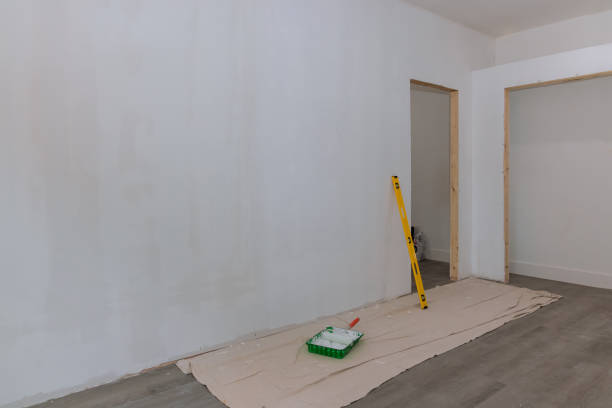 Best Forensic Mold Investigation  in Forestdale, MA