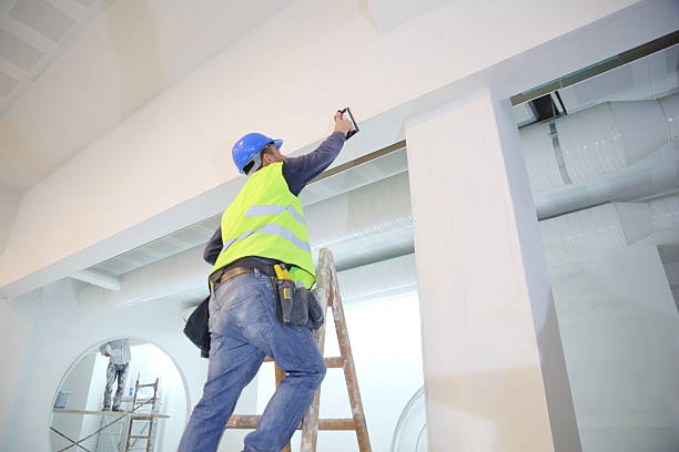 Best Asbestos and Lead Testing During Mold Inspection  in Forestdale, MA