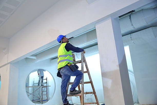 Best Mold Documentation for Insurance Claims  in Forestdale, MA